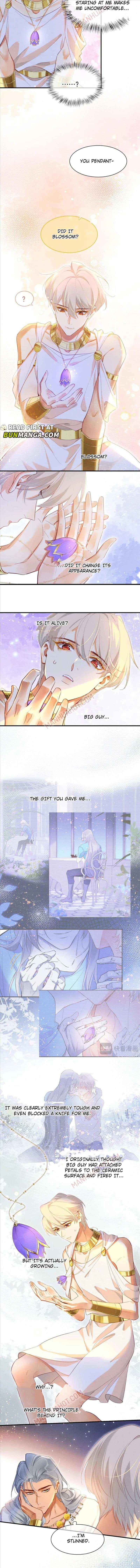 See You, My King chapter 48 page 8