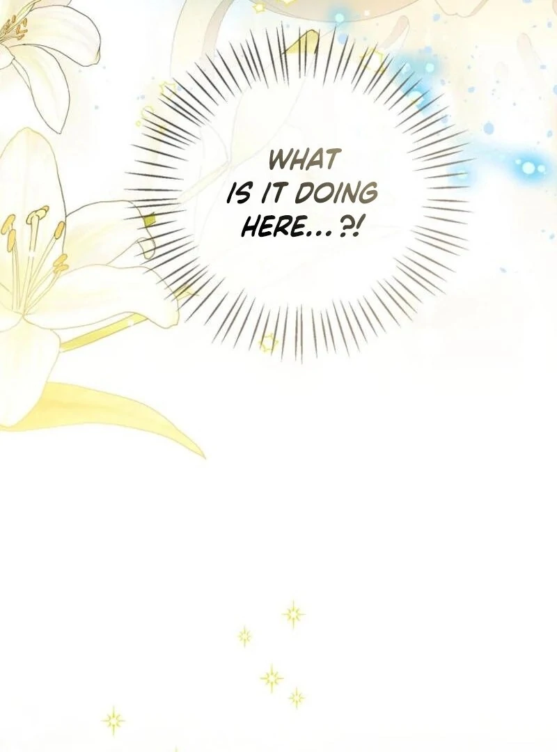 Baby Princess Through the Status Window chapter 143 page 49