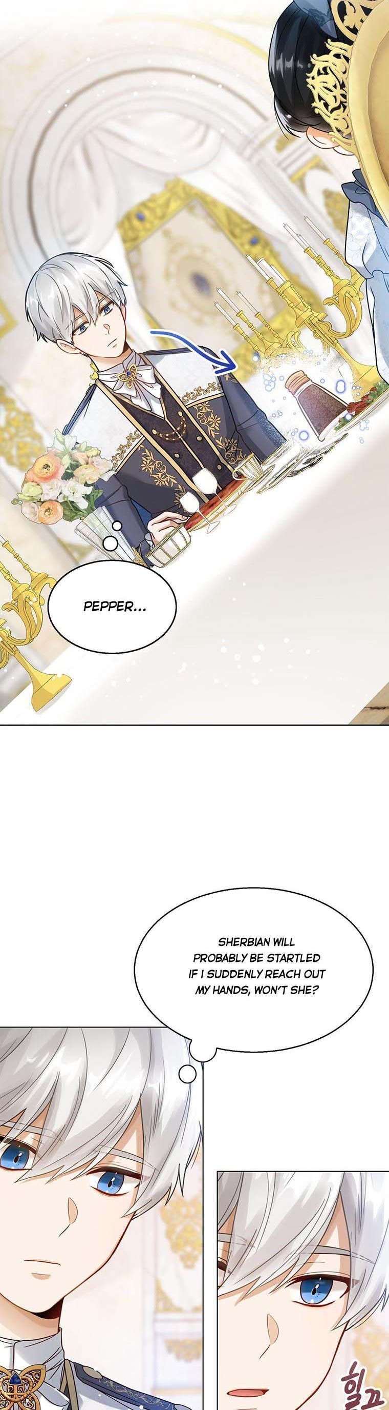 Baby Princess Through the Status Window chapter 3 page 28