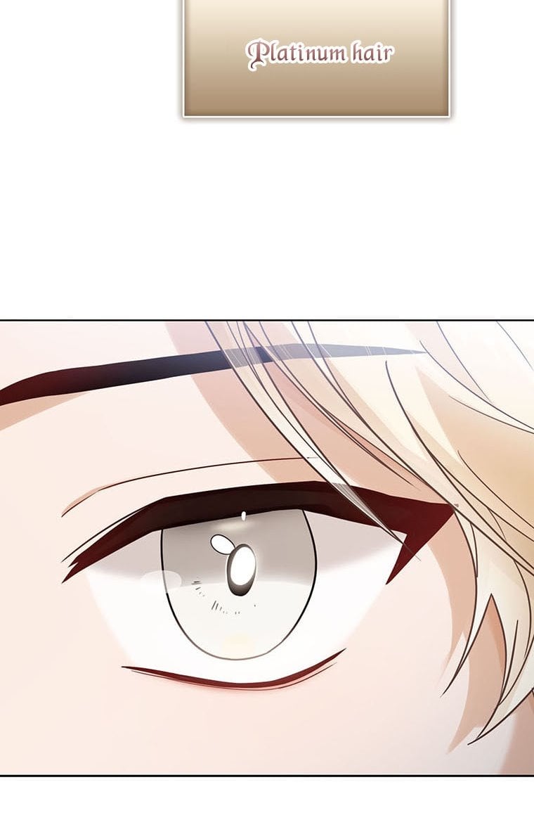 Baby Princess Through the Status Window chapter 7 page 47