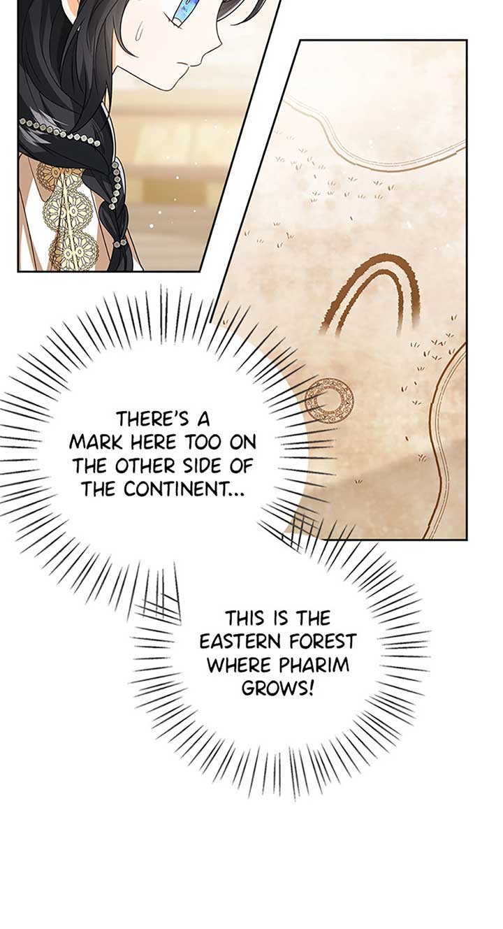 Baby Princess Through the Status Window chapter 79 page 19