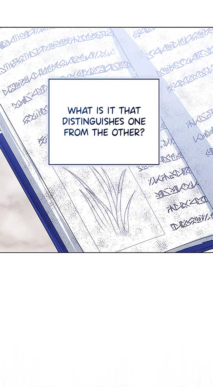 Baby Princess Through the Status Window chapter 87 page 78