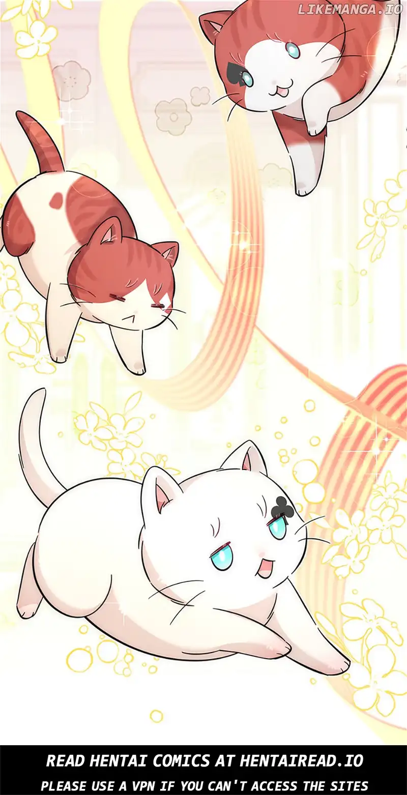 Baby Pharmacist Princess chapter 47 page 71