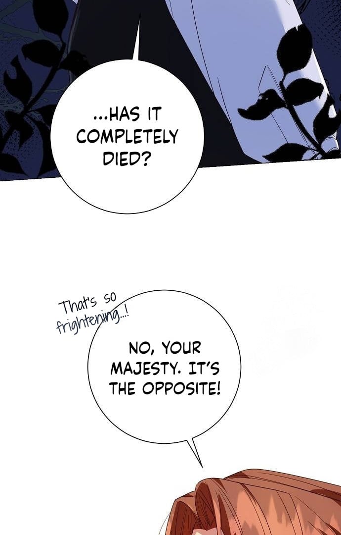 Until the Real One Shows Up chapter 33 page 12