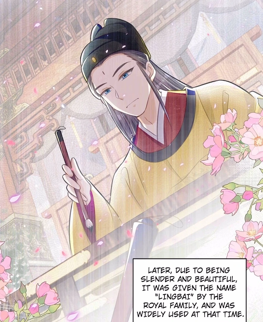 Ancestor is beautiful and elegant chapter 23 page 7