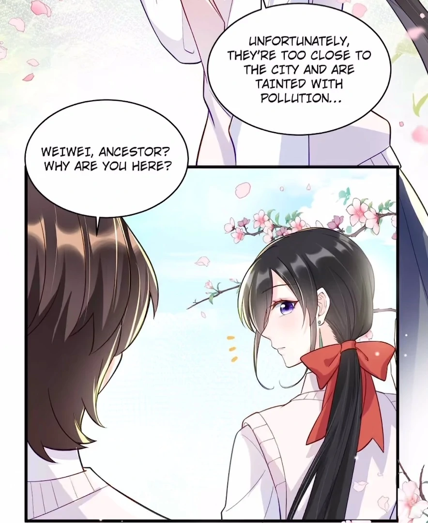 Ancestor is beautiful and elegant chapter 35 page 4
