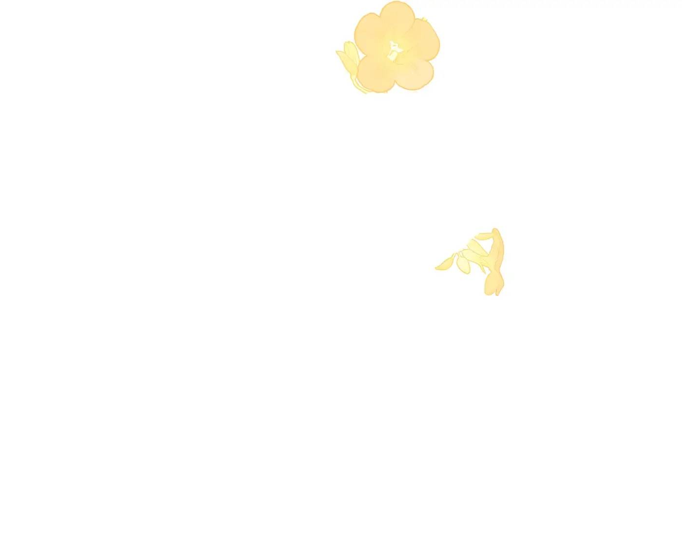 The Princess Doesn’t Want to Be Spoiled chapter 24 page 41