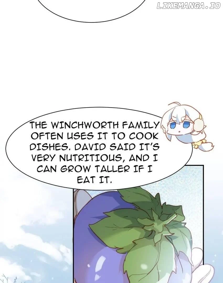 The Princess Doesn’t Want to Be Spoiled chapter 35 page 20