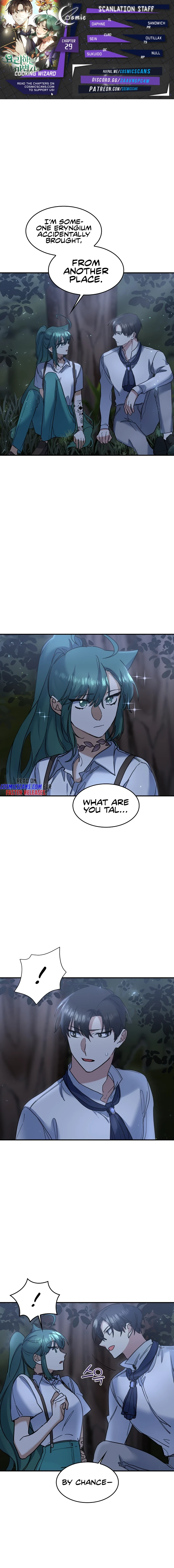The Cooking Wizard chapter 29 page 1