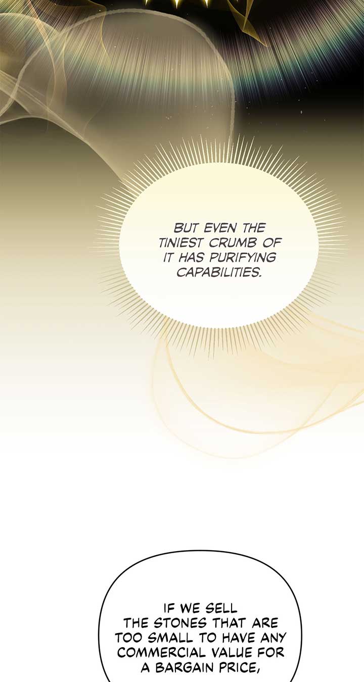 No, I Only Charmed the Princess! chapter 10 page 5