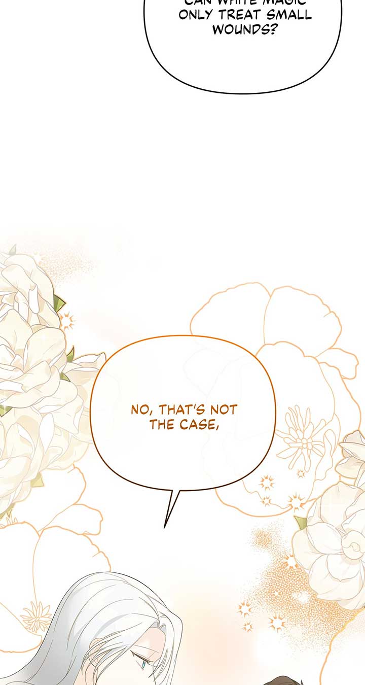 No, I Only Charmed the Princess! chapter 11 page 44