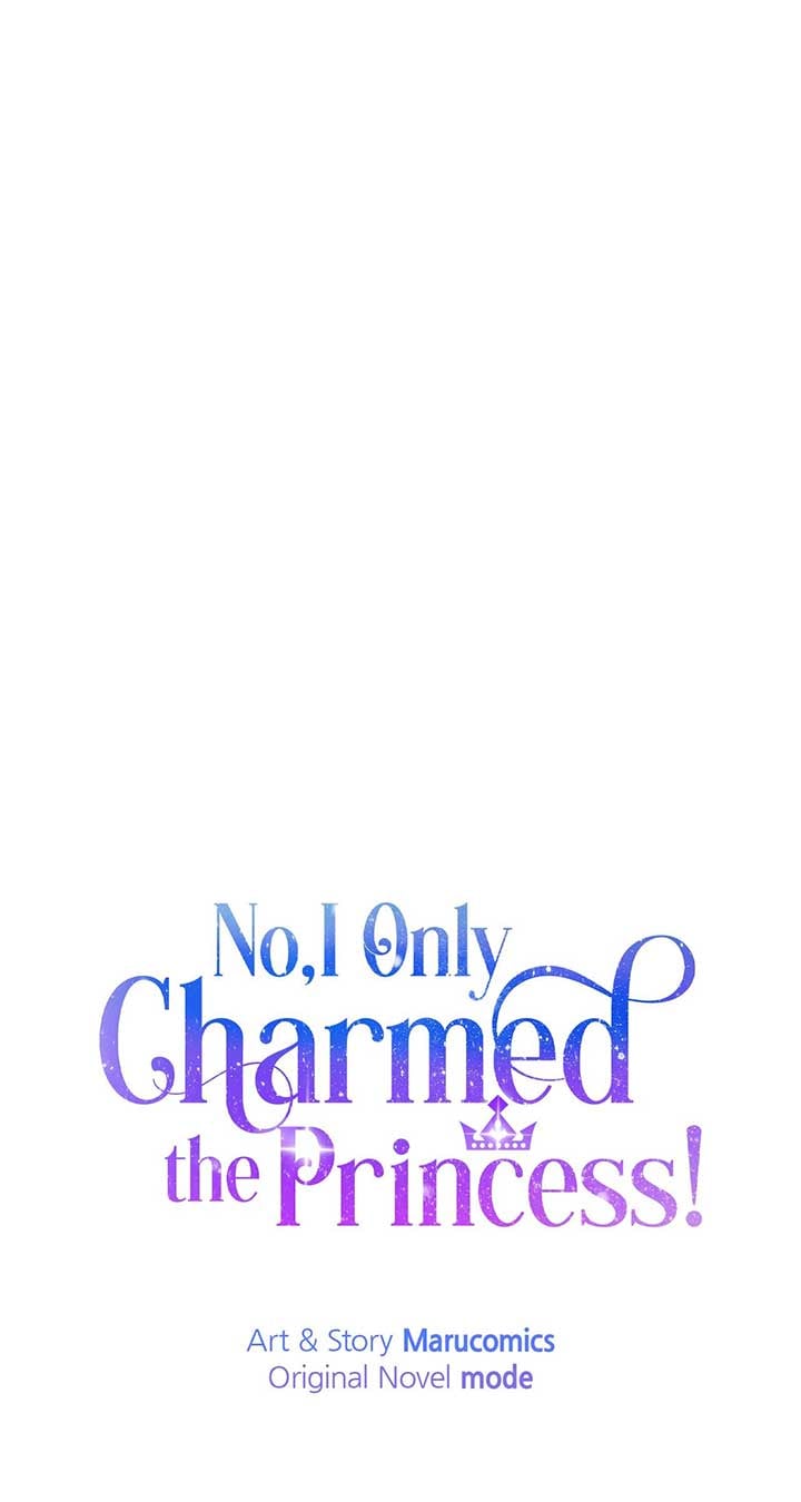No, I Only Charmed the Princess! chapter 13 page 40