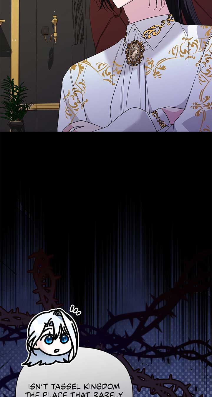 No, I Only Charmed the Princess! chapter 13 page 44