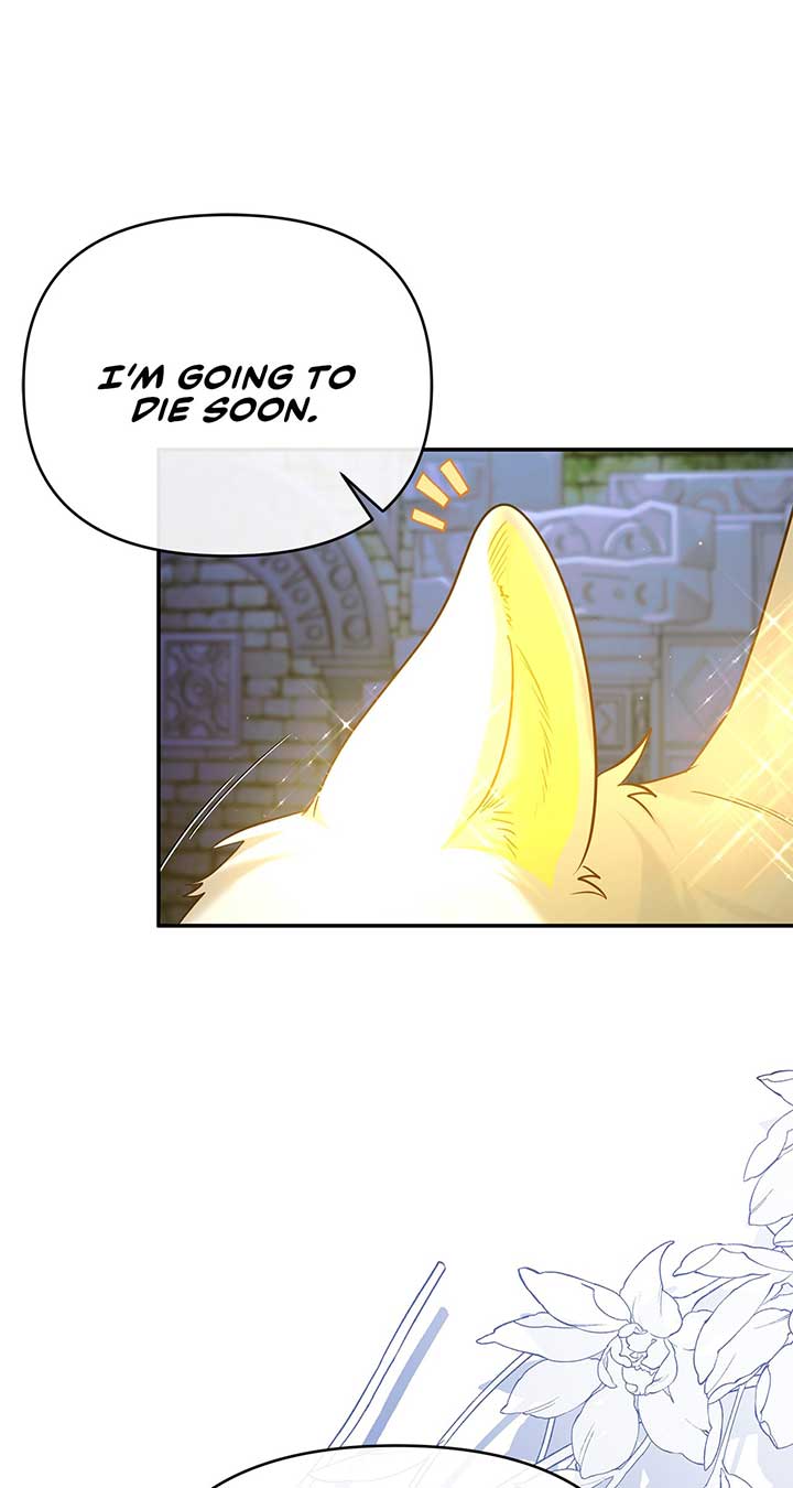 No, I Only Charmed the Princess! chapter 2 page 98