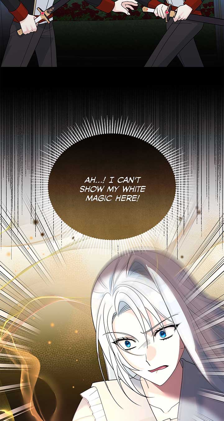 No, I Only Charmed the Princess! chapter 21 page 5