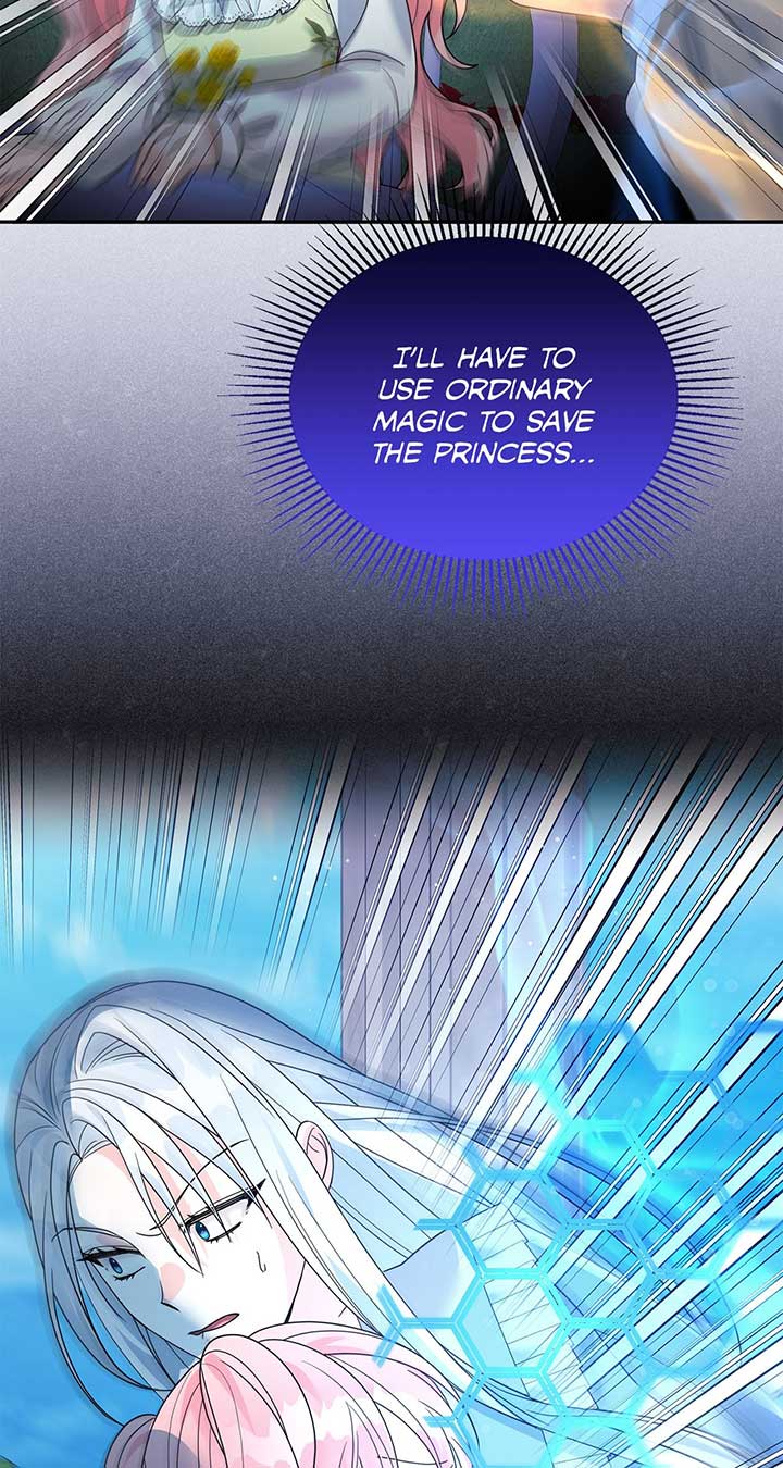 No, I Only Charmed the Princess! chapter 21 page 7