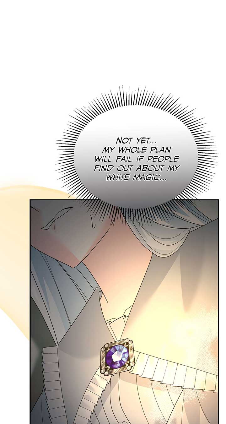 No, I Only Charmed the Princess! chapter 21 page 17
