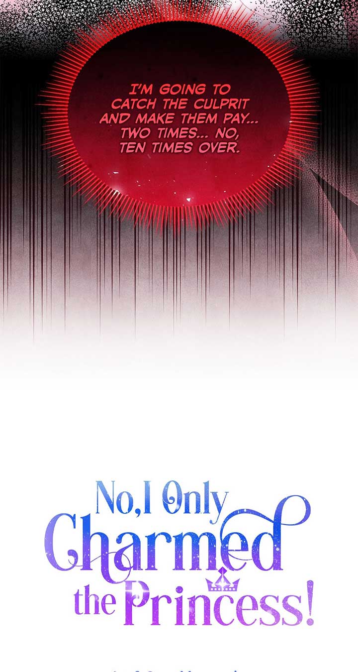 No, I Only Charmed the Princess! chapter 21 page 73