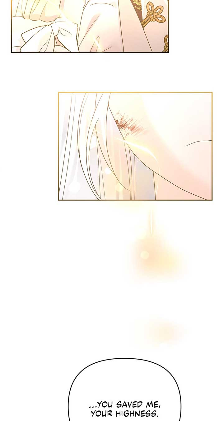 No, I Only Charmed the Princess! chapter 21 page 86