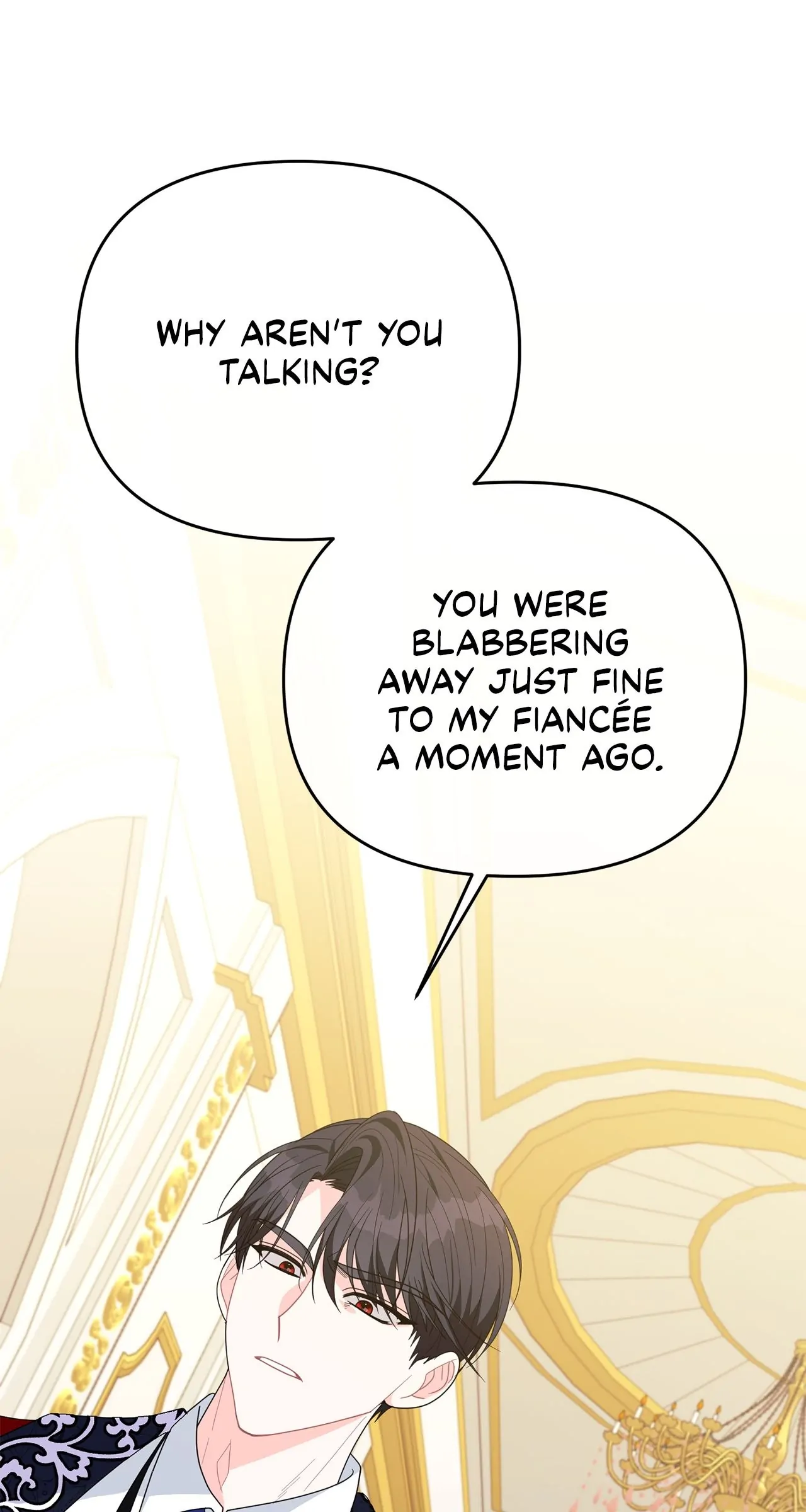 No, I Only Charmed the Princess! chapter 28 page 8