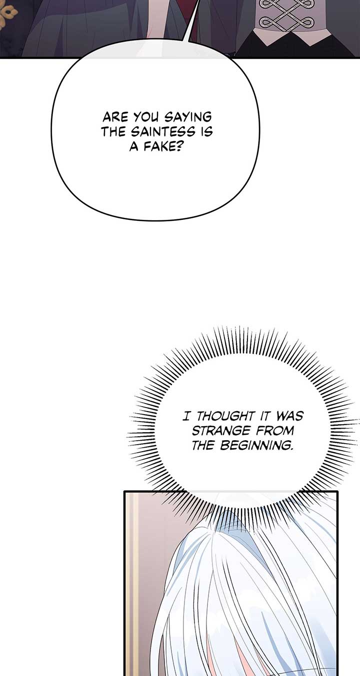 No, I Only Charmed the Princess! chapter 33 page 62