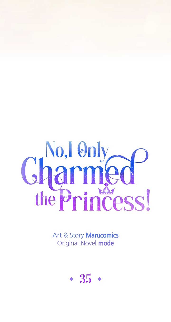 No, I Only Charmed the Princess! chapter 35 page 33