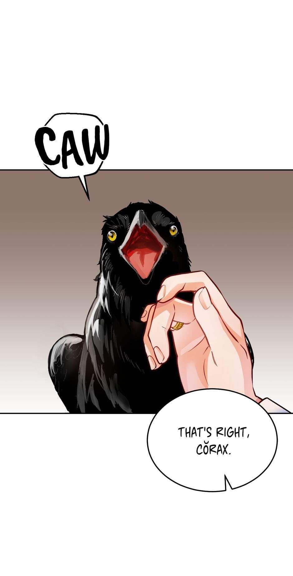 The Princess Doesn’t Want To Marry Her Ideal Type chapter 8 page 64