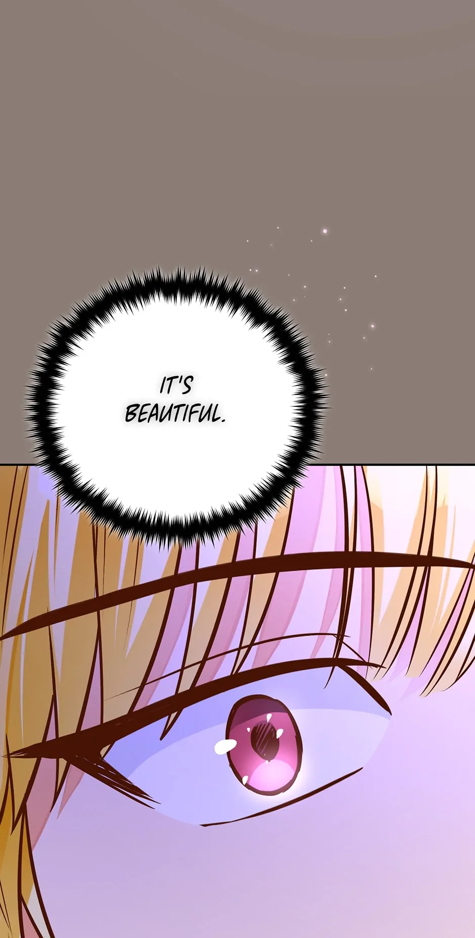 The Princess Doesn’t Want To Marry Her Ideal Type chapter 89 page 10