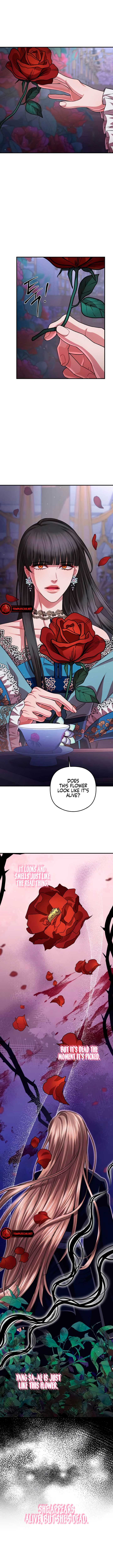 All About Dominative And Exclusive Destruction chapter 40 page 5