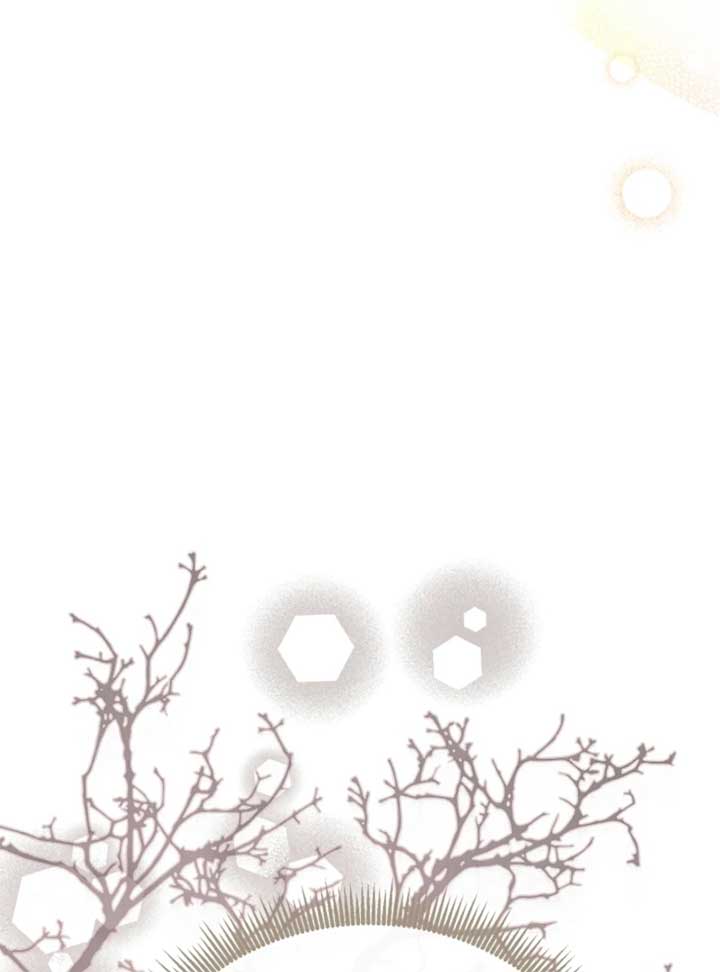When Cinderella’s Magic Fades Away chapter 71 page 45