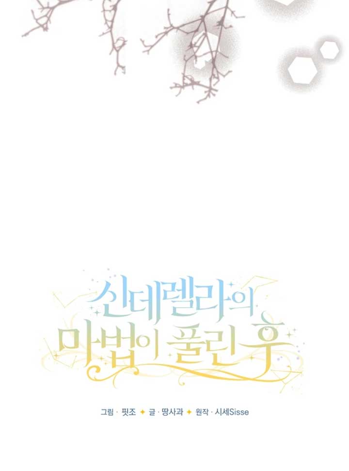 When Cinderella’s Magic Fades Away chapter 71 page 48
