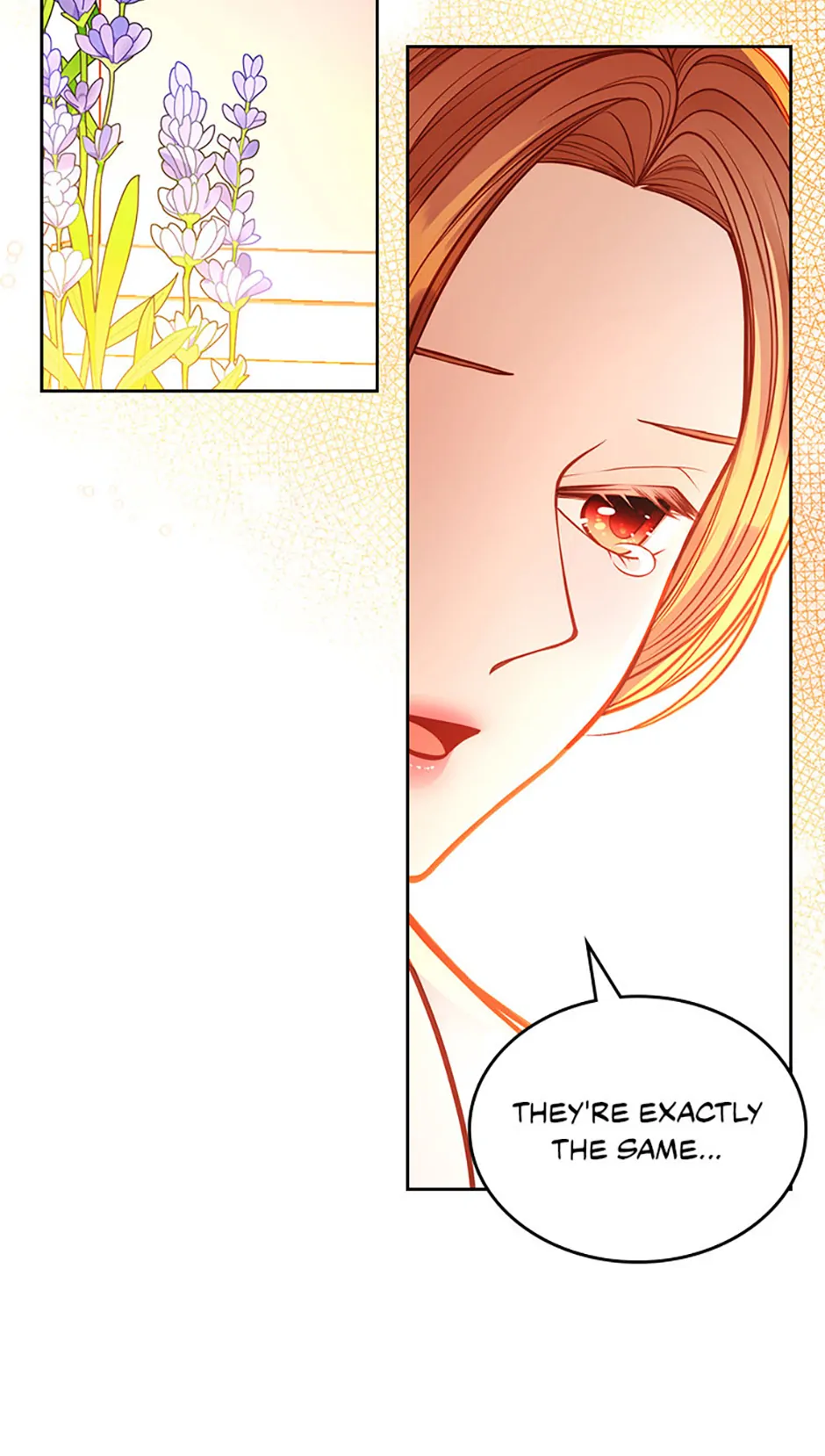 The Duchess’s Secret Dressing Room chapter 125 page 77