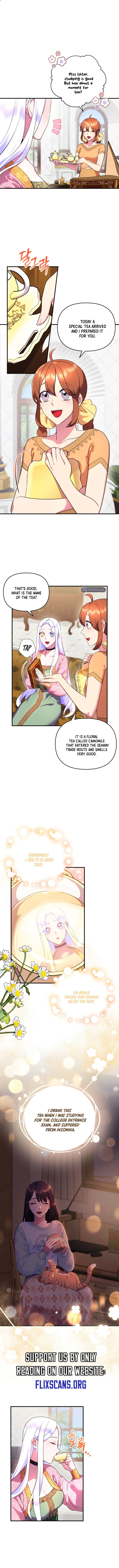 I Became the Sultan’s Precious Cat chapter 17 page 3