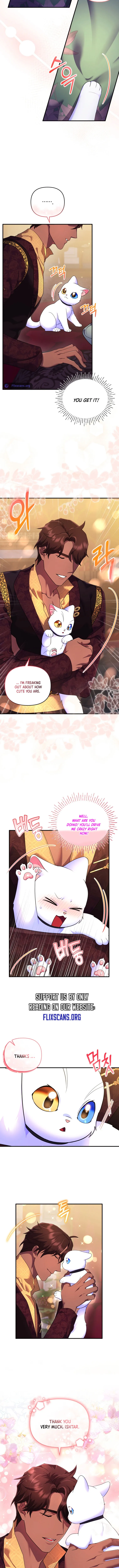 I Became the Sultan’s Precious Cat chapter 17 page 11