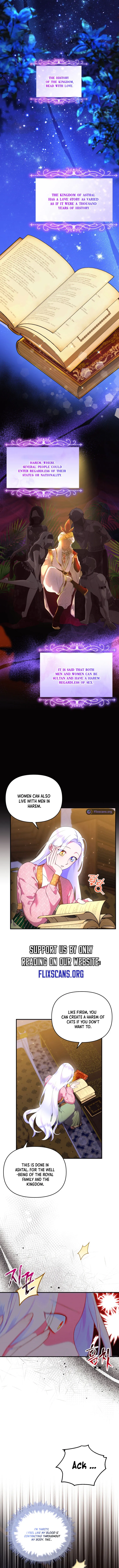 I Became the Sultan’s Precious Cat chapter 17 page 5