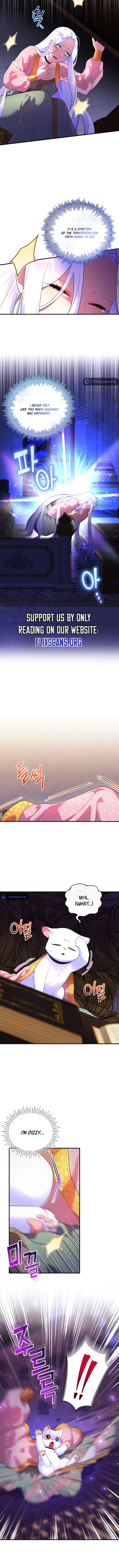 I Became the Sultan’s Precious Cat chapter 17 page 6