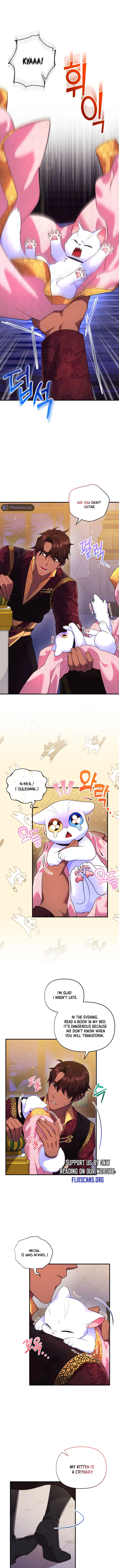 I Became the Sultan’s Precious Cat chapter 17 page 7