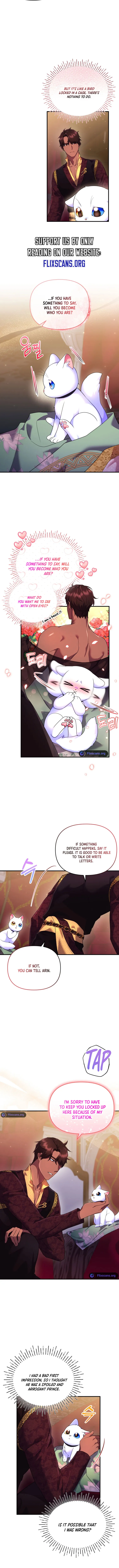 I Became the Sultan’s Precious Cat chapter 17 page 9