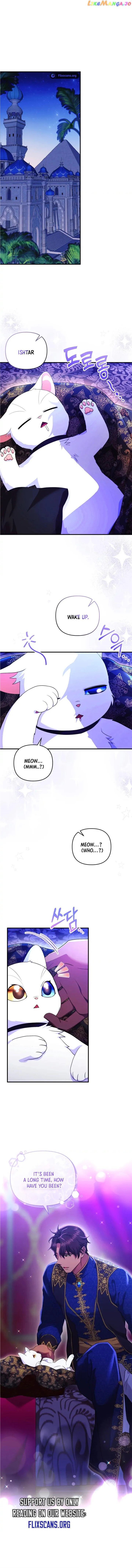 I Became the Sultan’s Precious Cat chapter 26 page 1