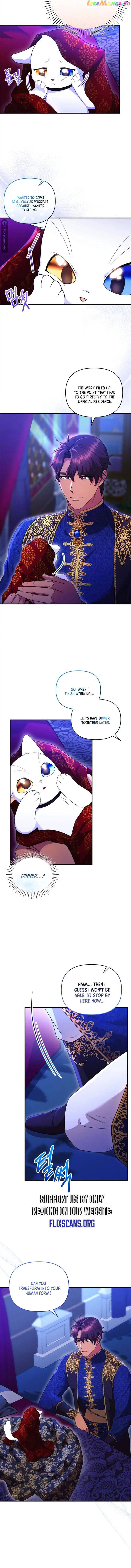 I Became the Sultan’s Precious Cat chapter 26 page 4