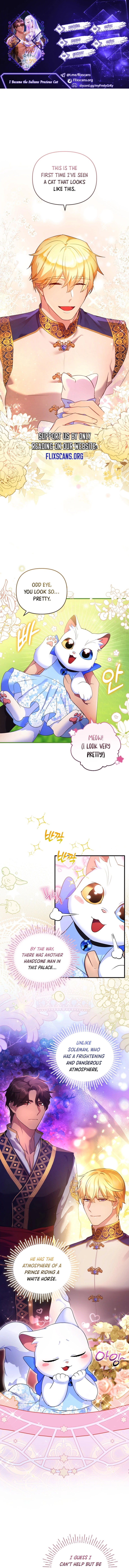 I Became the Sultan’s Precious Cat chapter 8 page 1