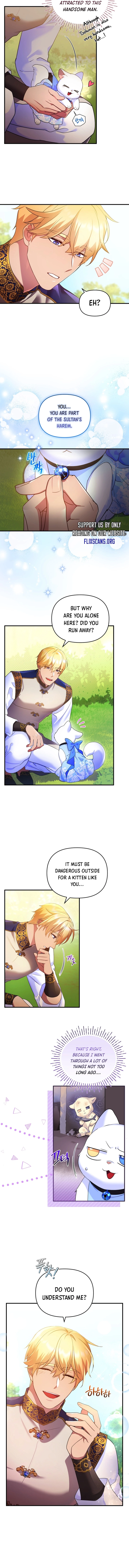 I Became the Sultan’s Precious Cat chapter 8 page 2
