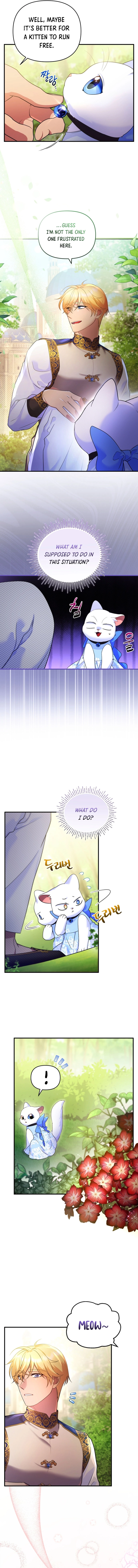 I Became the Sultan’s Precious Cat chapter 8 page 3