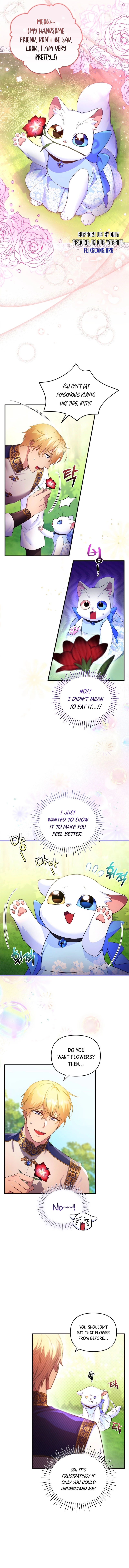 I Became the Sultan’s Precious Cat chapter 8 page 4