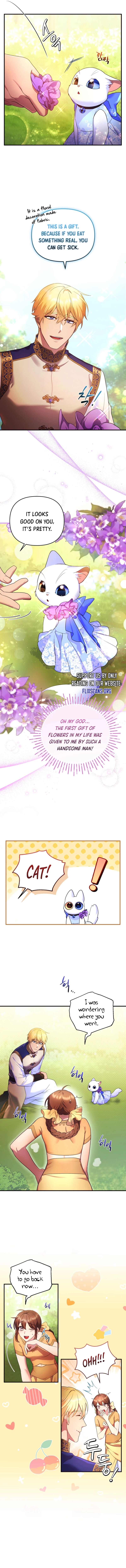 I Became the Sultan’s Precious Cat chapter 8 page 5