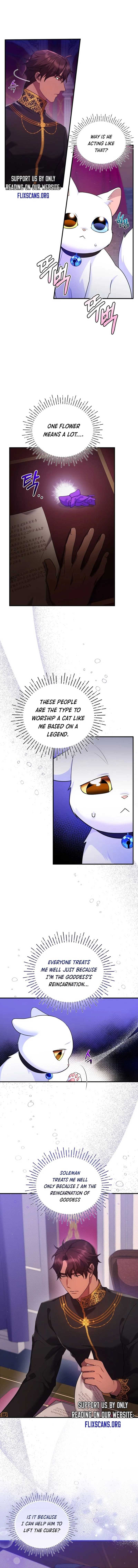 I Became the Sultan’s Precious Cat chapter 9 page 1
