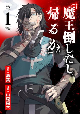 We Beat The Demon Lord So Let’s go Home cover