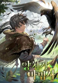 The Shepherd Wizard cover