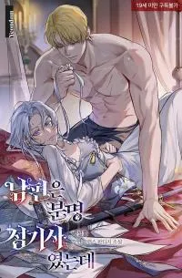 Holy Night: My Husband is Definitely a Paladin cover