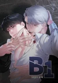 B1 cover